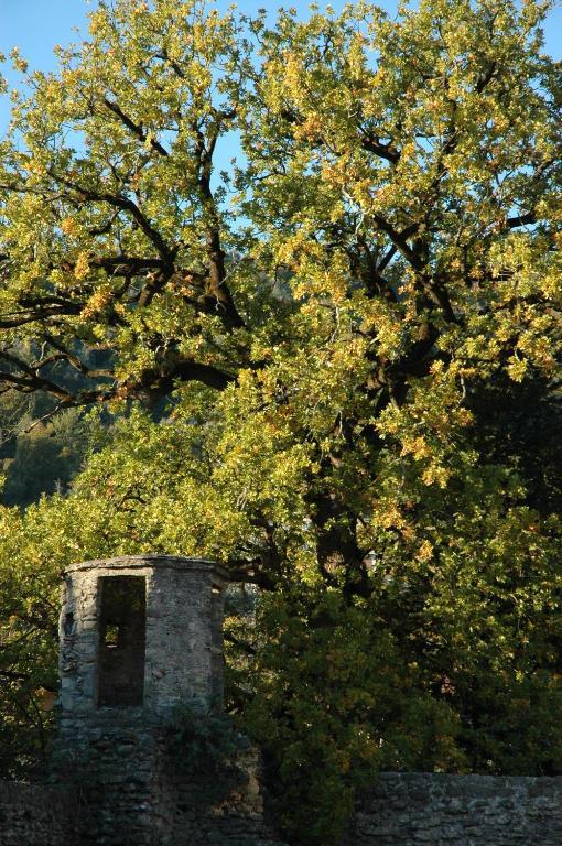Agriturismo Casteldelpiano Licciana Nardi Eksteriør billede
