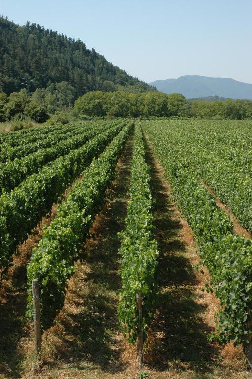 Agriturismo Casteldelpiano Licciana Nardi Eksteriør billede